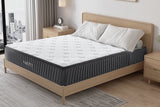 Ashby Pocket Spring mattress with Pillow top Queen Size